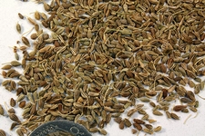 Bebeklere Anason Kullanımı ve Faydaları Nelerdir?