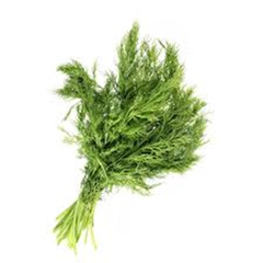 Rezene Anason Kullanımı ve Faydaları Nelerdir?